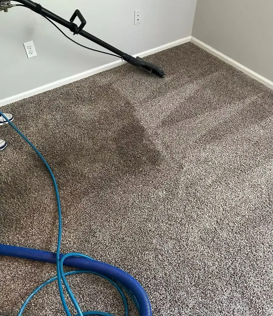 Truck-mounted carpet steam cleaning in progress — hot-water extraction wand working through carpet fibers