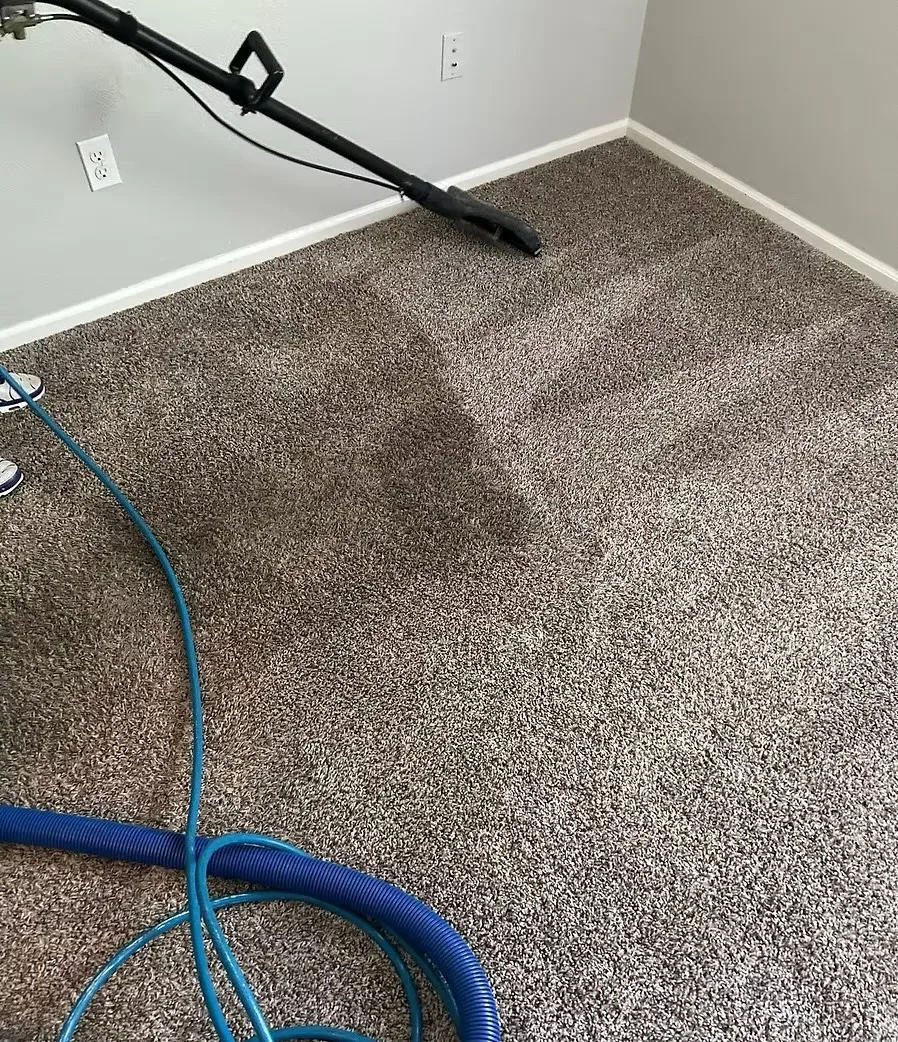 Truck-mounted carpet steam cleaning in progress — hot-water extraction wand working through carpet fibers