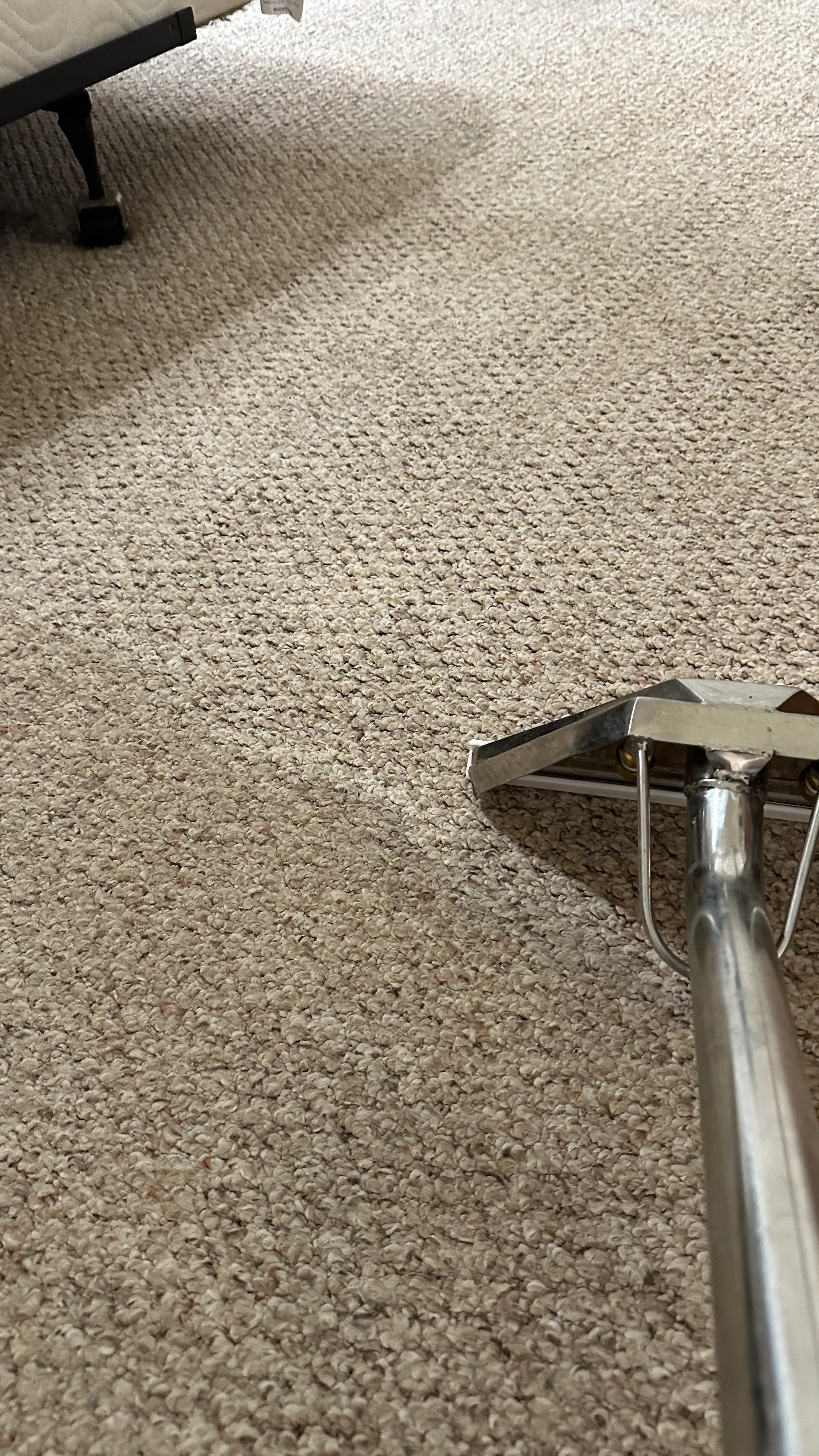 Carpet cleaning traffic lane before and after in Bowie, TX — heavy soil removed with truck-mount extraction