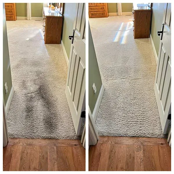 Carpet traffic lane cleaning result in Bowie, TX