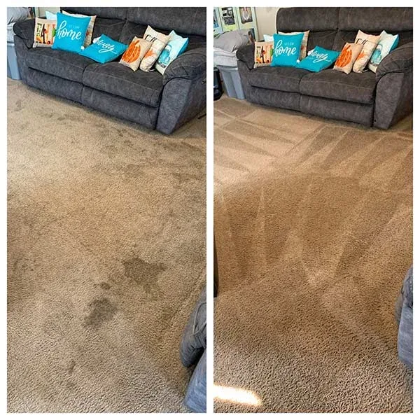 Carpet cleaning — heavy traffic-lane staining lifted with hot-water extraction
